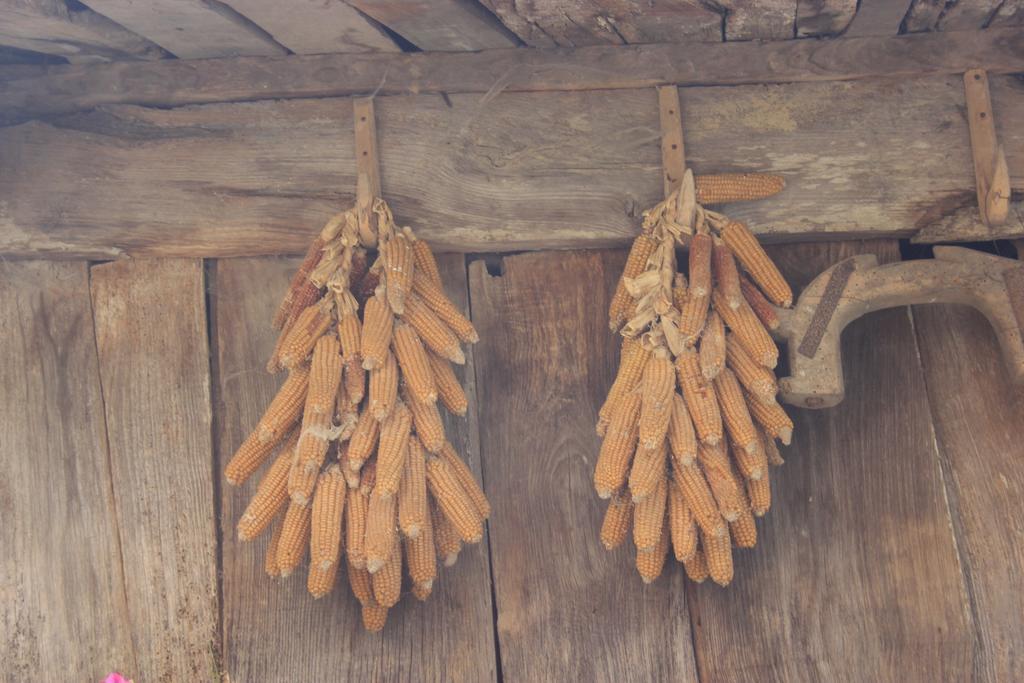 El Colladin Country house