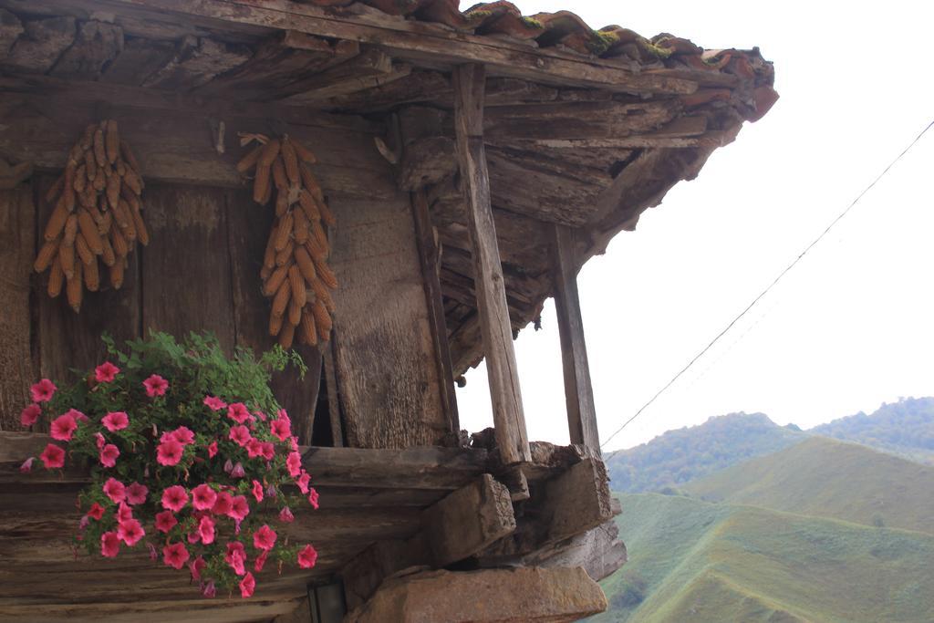 Country house El Colladin *