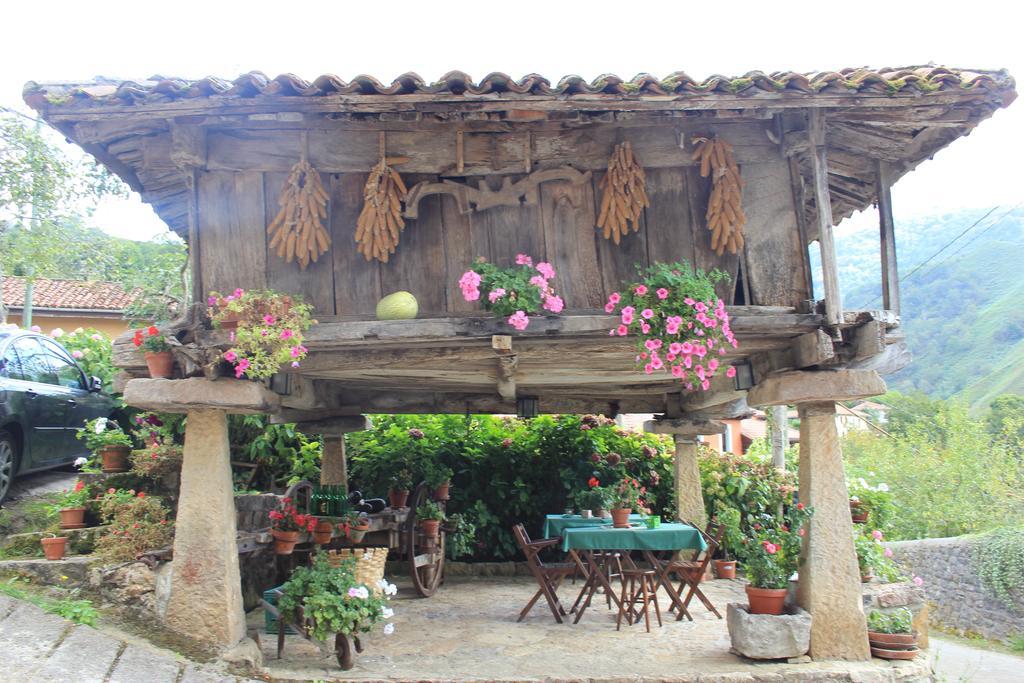El Colladin Country house *