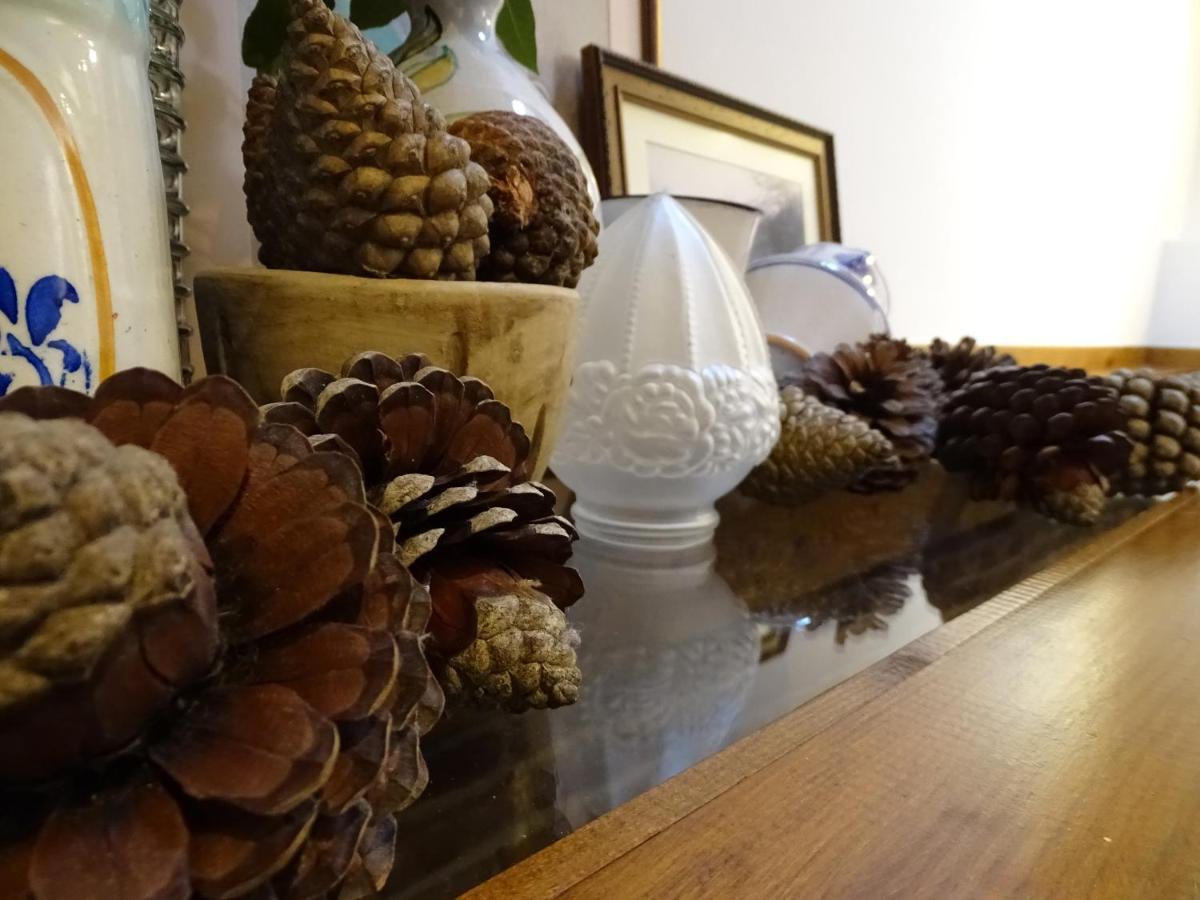 El Colladin Country house *